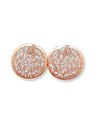 SHEER MOON EARRINGS（シアームーンピアス）